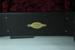 TAYLOR GUITARS 214CE DLX